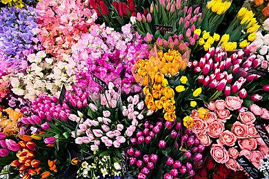 武侠闯关单机游戏《末刀》已上线，首周折扣12元